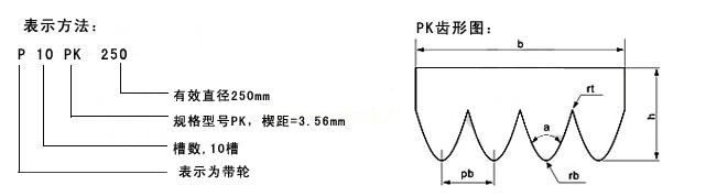 PK型多楔輪CAD圖紙